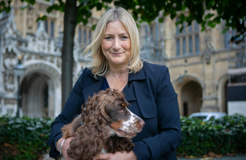 Suzanne Webb MP in Parliament